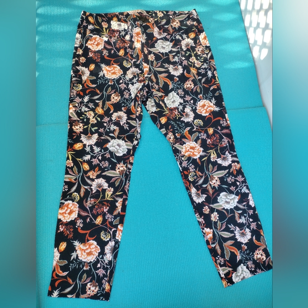 PRESWICK & MOORE Women's Pull On Floral Pants Ankle Stretch Skinny 1X